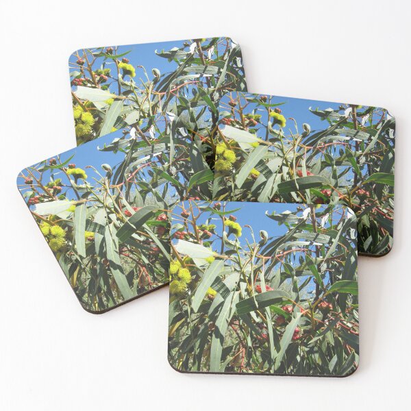 Item preview, Eucalyptus erythrocorys (lilyarrie) Red Capped Gum, Australian Native. designed and sold by RitaBlom.