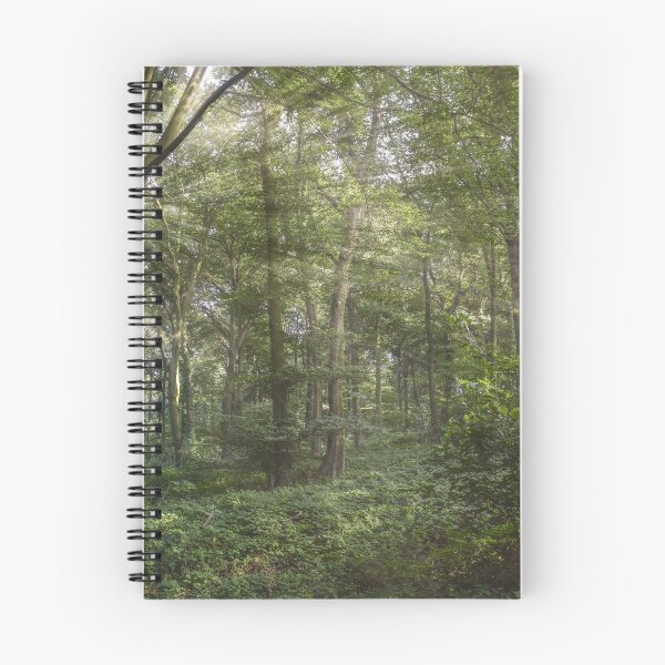 Item preview, Beautiful Light Breaking Through The Trees HiRes Photographic Artwork designed and sold by PODLizardWizard.