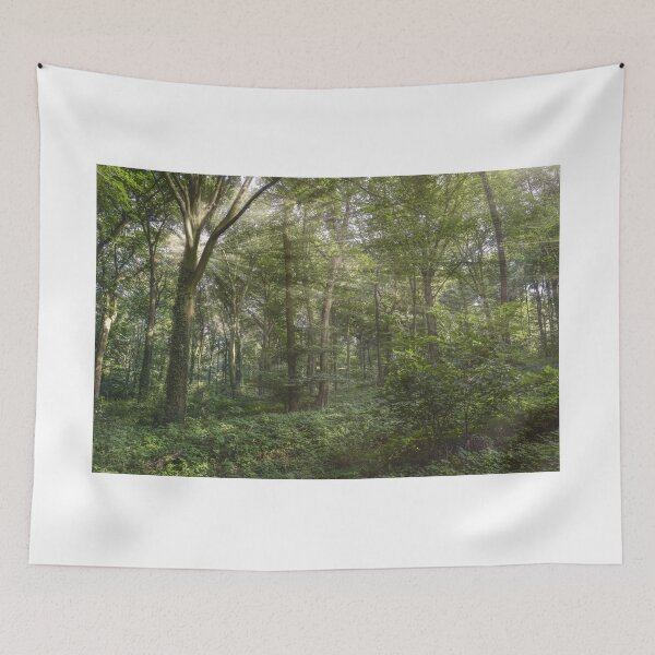Item preview, Beautiful Light Breaking Through The Trees HiRes Photographic Artwork designed and sold by PODLizardWizard.