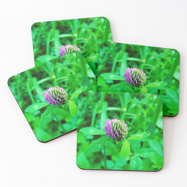 Item preview, CLOVER designed and sold by Frogmuse.