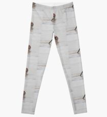 Heading to Market Leggings
