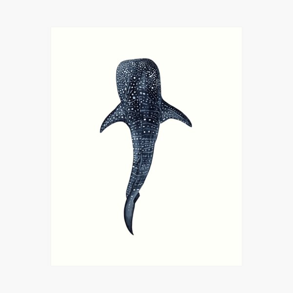 WHALE SHARK II Art Print