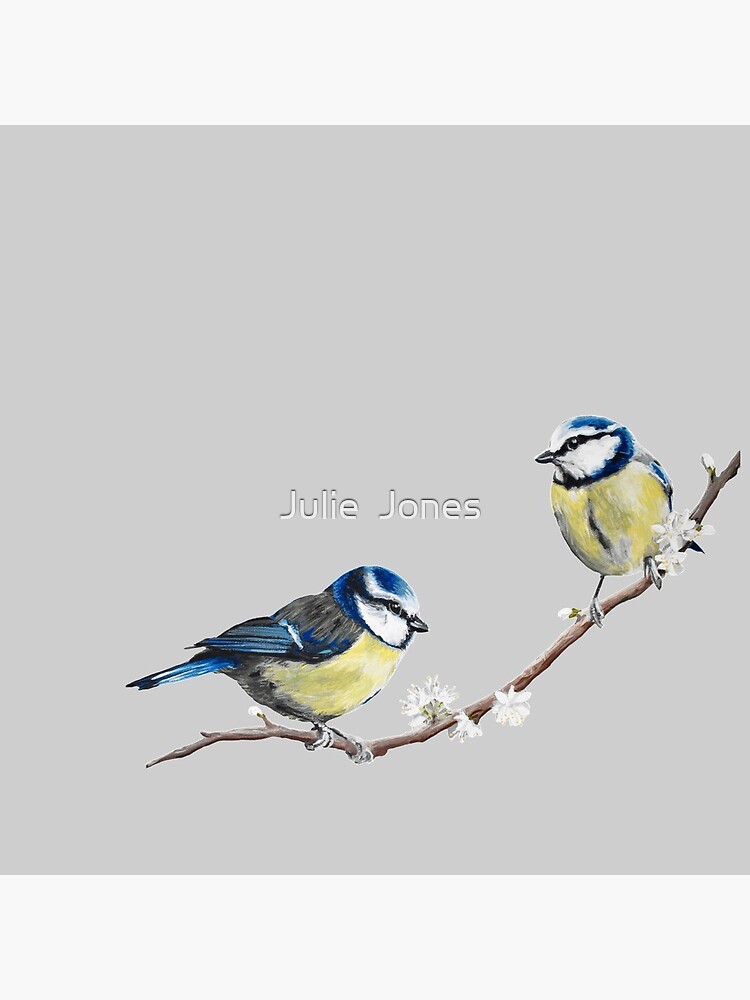Blue Tits garden birds by Julie Jones by JJmurals