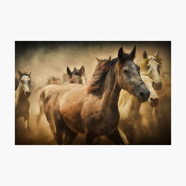 Aperçu de l'œuvre Stampede de cheval créée et vendue par PODLizardWizard.