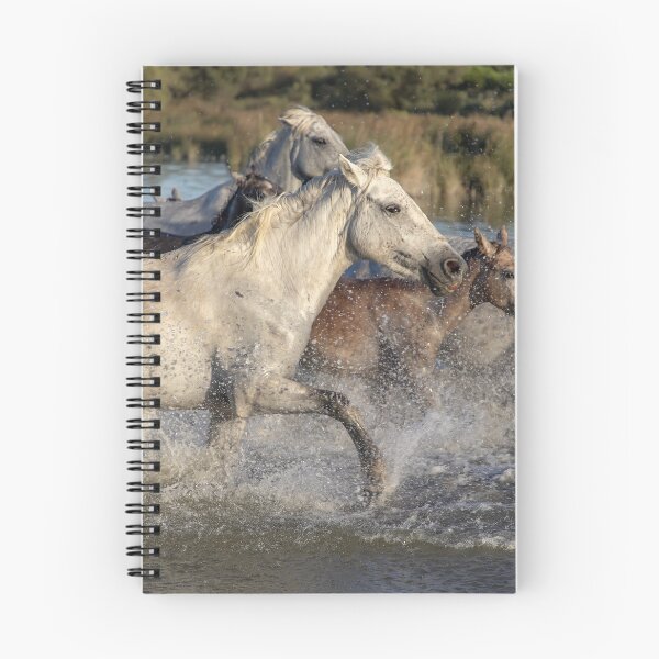 Item preview, Horse Tribe Commuting designed and sold by PODLizardWizard.