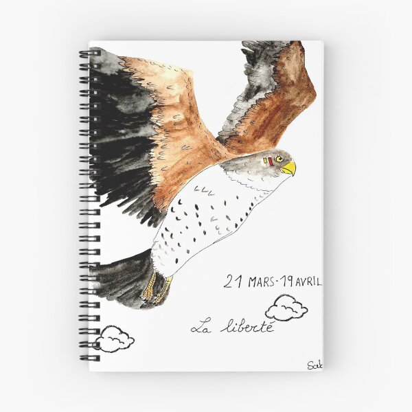 Item preview, Amerindian sign of the falcon designed and sold by neigeternelle.