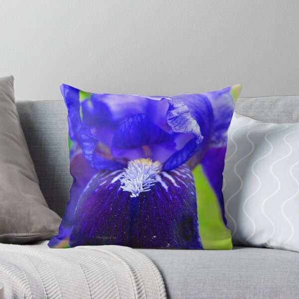 Item preview, blue iris 2 designed and sold by LoreLeft27.