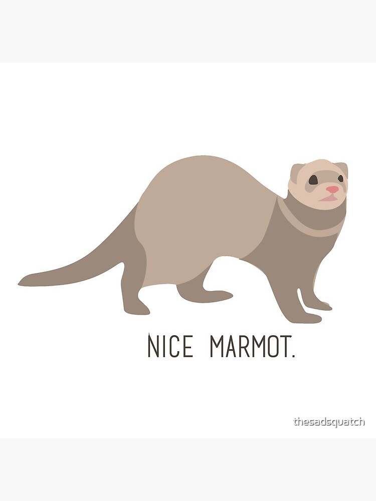 Nice Marmot - The Big Lebowski by thesadsquatch