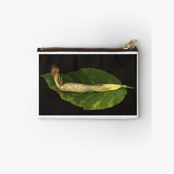 Item preview, Datura on Leaf designed and sold by Barbara E Wyeth.