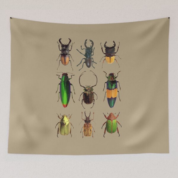 Item preview, Beetles #2 designed and sold by Slinky-Reebs.