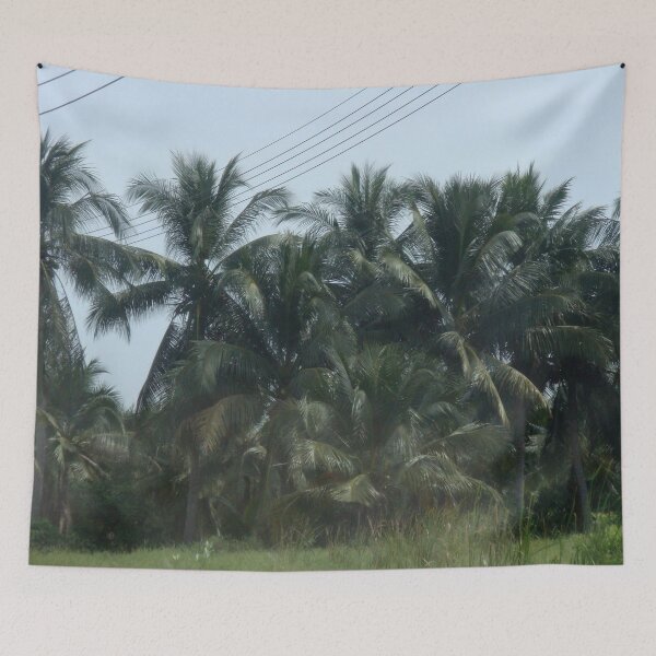 Item preview, coconut palm 3 designed and sold by pracha.