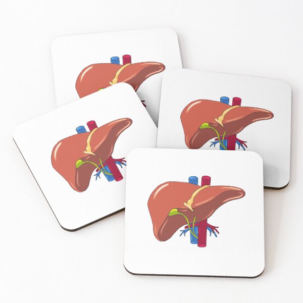 Item preview, Liver anatomy medical doctor designed and sold by carries-anatomy.