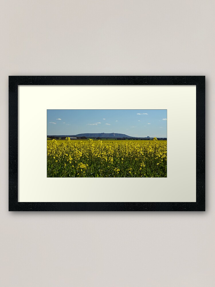 Thumbnail 2 of 7, Framed Art Print, Mt Arapiles designed and sold by joshw.
