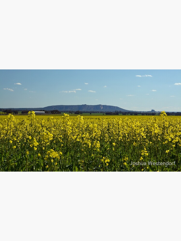 Thumbnail 7 of 7, Framed Art Print, Mt Arapiles designed and sold by joshw.