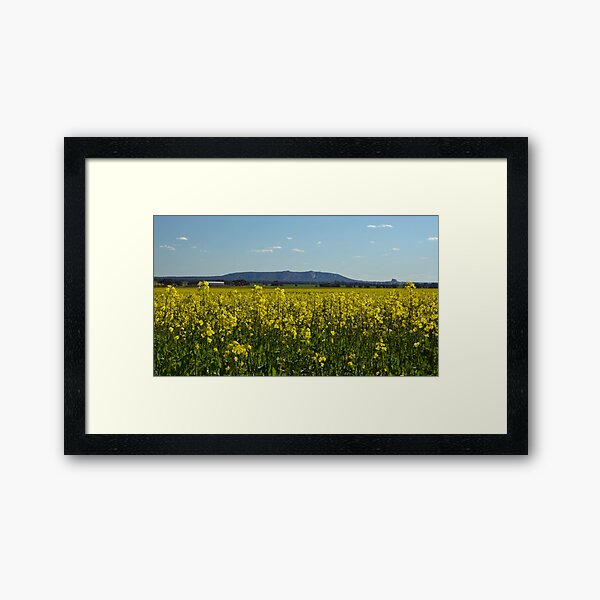 Framed Art Print