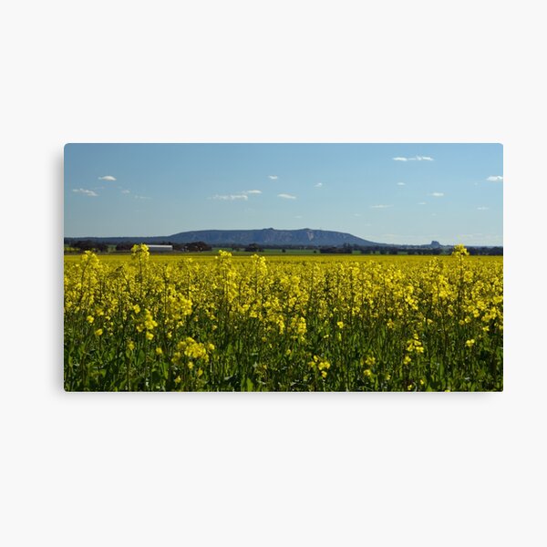 Item preview, Mt Arapiles designed and sold by Joshua Westendorf.