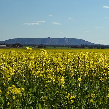 Artwork thumbnail, Mt Arapiles by Joshua Westendorf