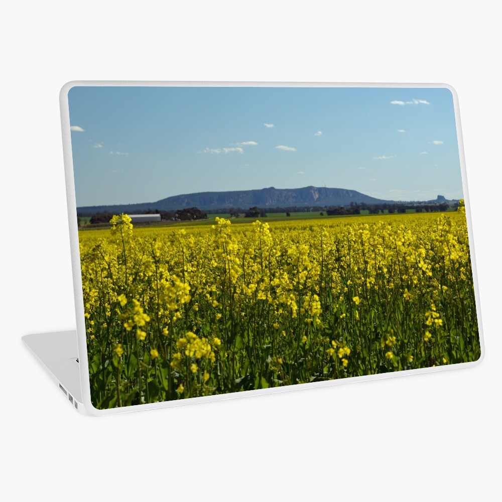 Item preview, Laptop Skin designed and sold by joshw.