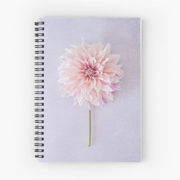 Aperçu de l'œuvre Cafe au Lait Dahlia en rose pâle créée et vendue par Zoe Power.