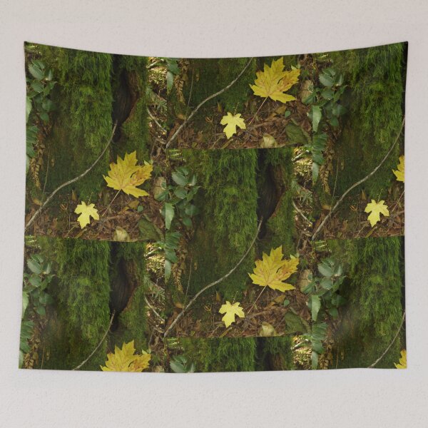 Item preview, Autumn in the Rain Forest designed and sold by Elaine Bawden.