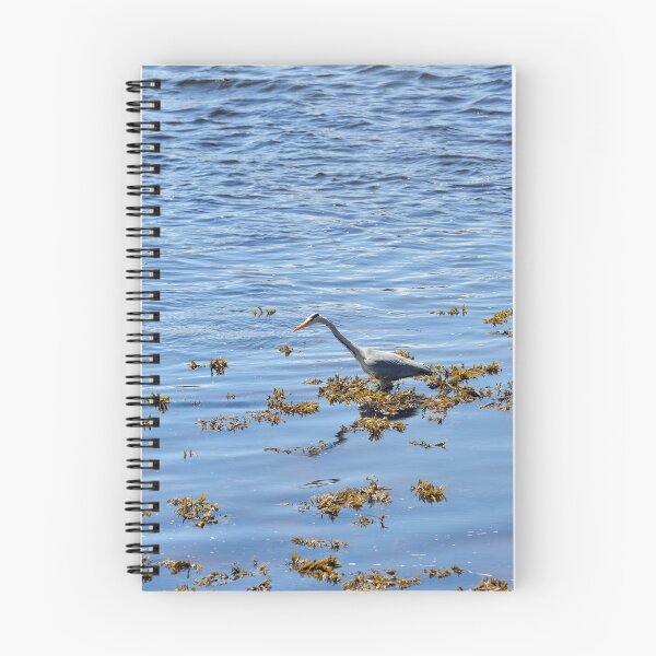 Item preview, Heron hunting for fish on the River Tweed designed and sold by Richard Flint.