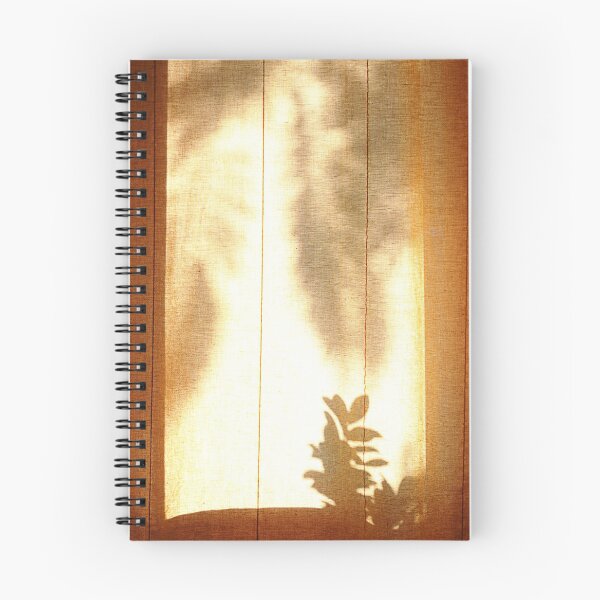 Item preview, Behind the curtain. designed and sold by Paul Pasco.