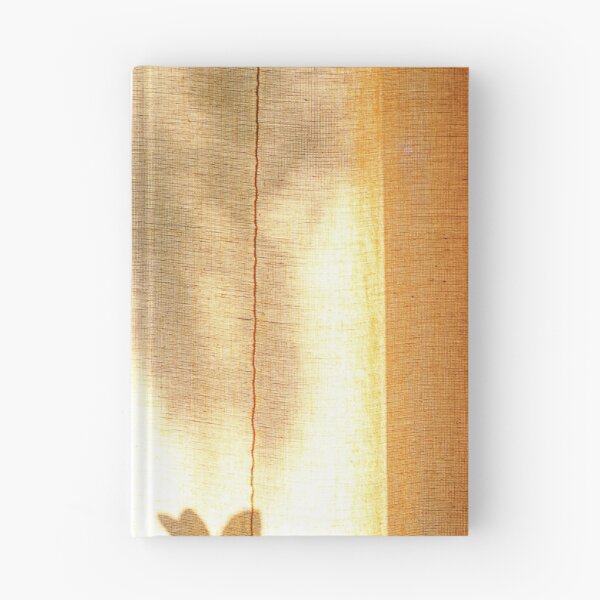 Item preview, Behind the curtain. designed and sold by Paul Pasco.