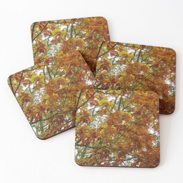 Item preview, Autumn leaves designed and sold by jdphotos.