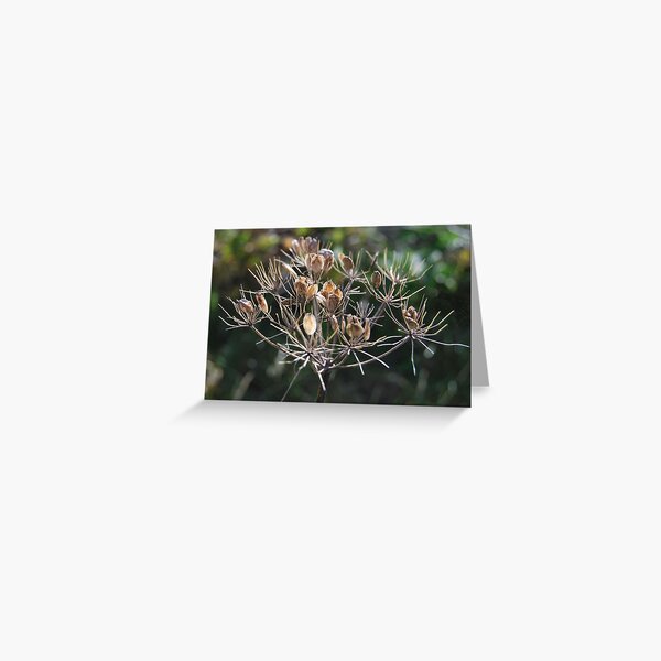 autumn Greeting Card