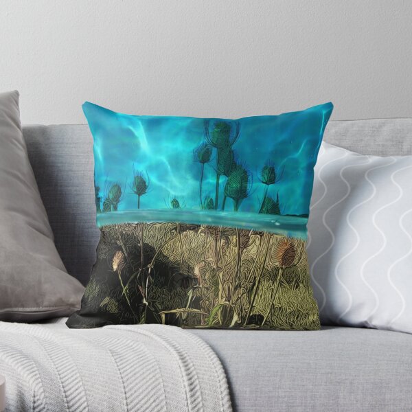 Throw Pillow