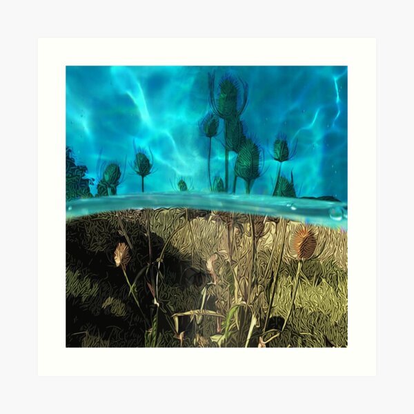 Art Print