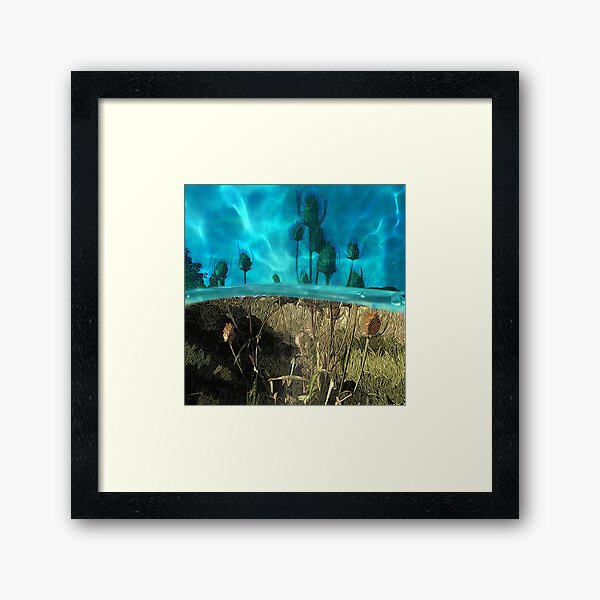 Framed Print