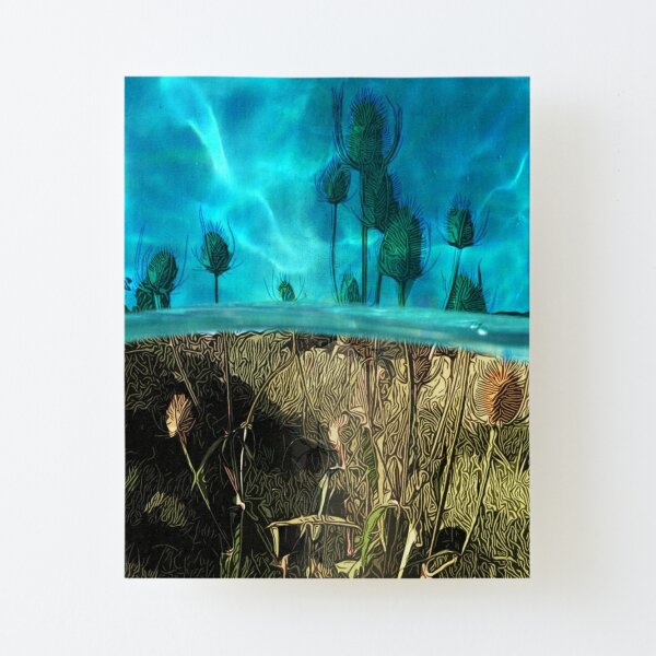 Canvas Mounted Print