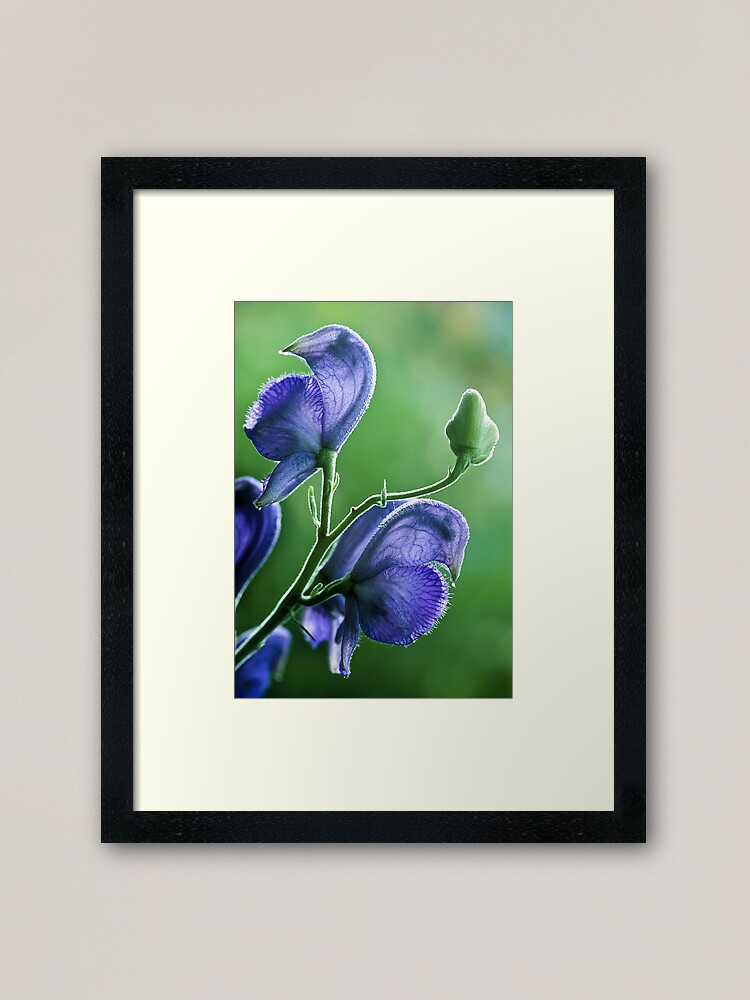 Alternate view of Whispers In Purple Framed Art Print