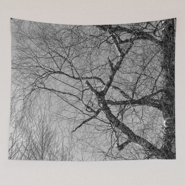 Item preview, black and white trees designed and sold by Barry W  King.
