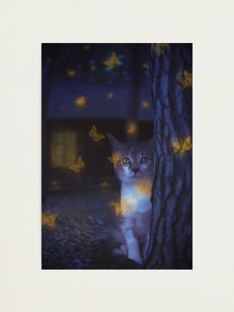 Alternate view of Fireflies Photographic Print