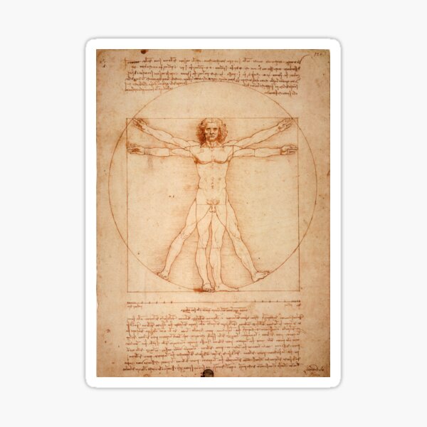 Aperçu de l'œuvre Homme de Vitruve - Léonard de Vinci Les proportions du corps humain créée et vendue par Bebichic.