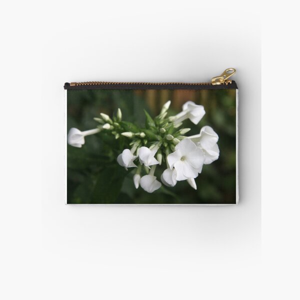 Item preview, Phlox In White designed and sold by coffeebean.