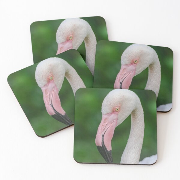 Item preview, greater flamingo (Phoenicopterus roseus) designed and sold by Martin Leber.