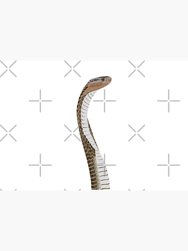 Snake by KCPetPortraits