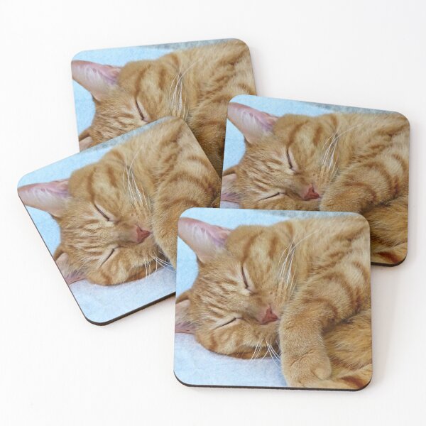 Item preview, Sleeping Cat designed and sold by Frankie Cat Photography.