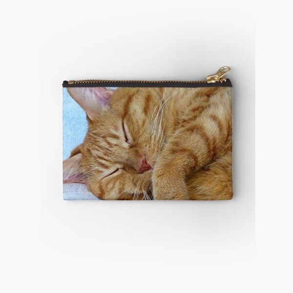 Item preview, Sleeping Cat designed and sold by Frankie Cat Photography.