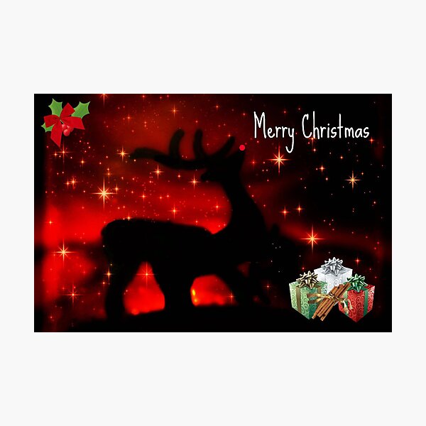 Santas Reindeer © Photographic Print