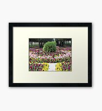 decor Framed Print