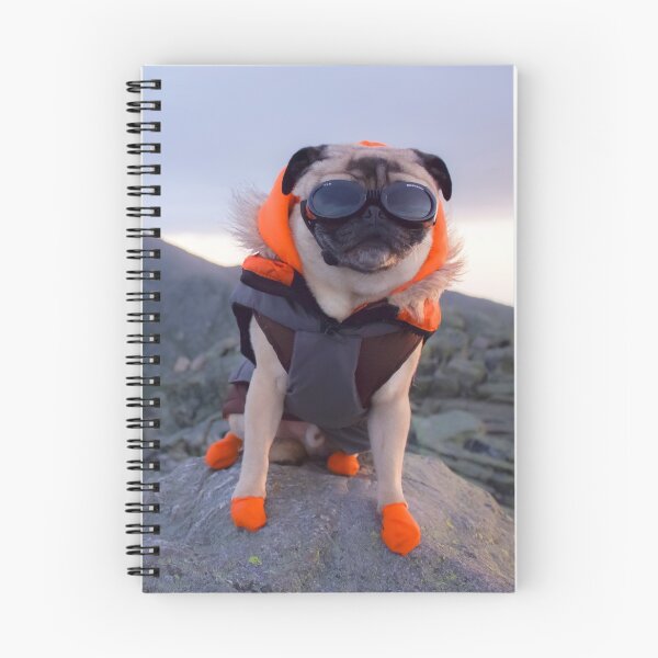 Item preview, Another Summit For Adventure Pug designed and sold by pugventurephoto.