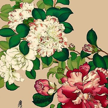 Artwork thumbnail, Vintage Japanese Camellias. Deep Pink on Beige by Marymarice