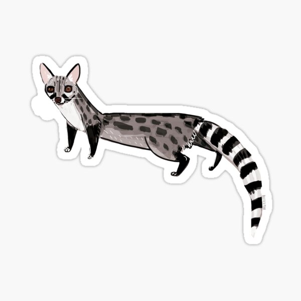 Iberian Genet Sticker