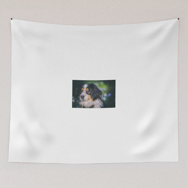 Item preview, Australian Shepherd designed and sold by Zoozwear Apparel.