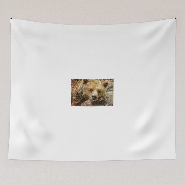 Item preview, Bear designed and sold by Zoozwear Apparel.