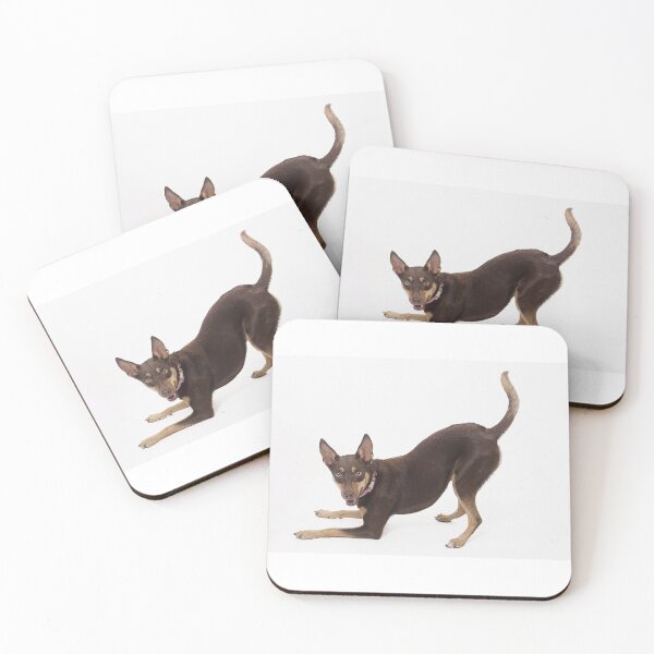Item preview, Australian Kelpie designed and sold by Zoozwear Apparel.